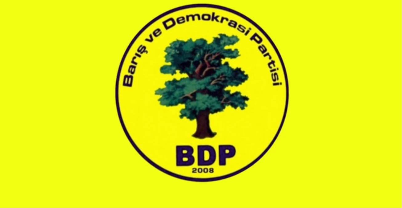 BDP\'li Meclis Üyesinin Evinin Bahçesine Ses Bombası