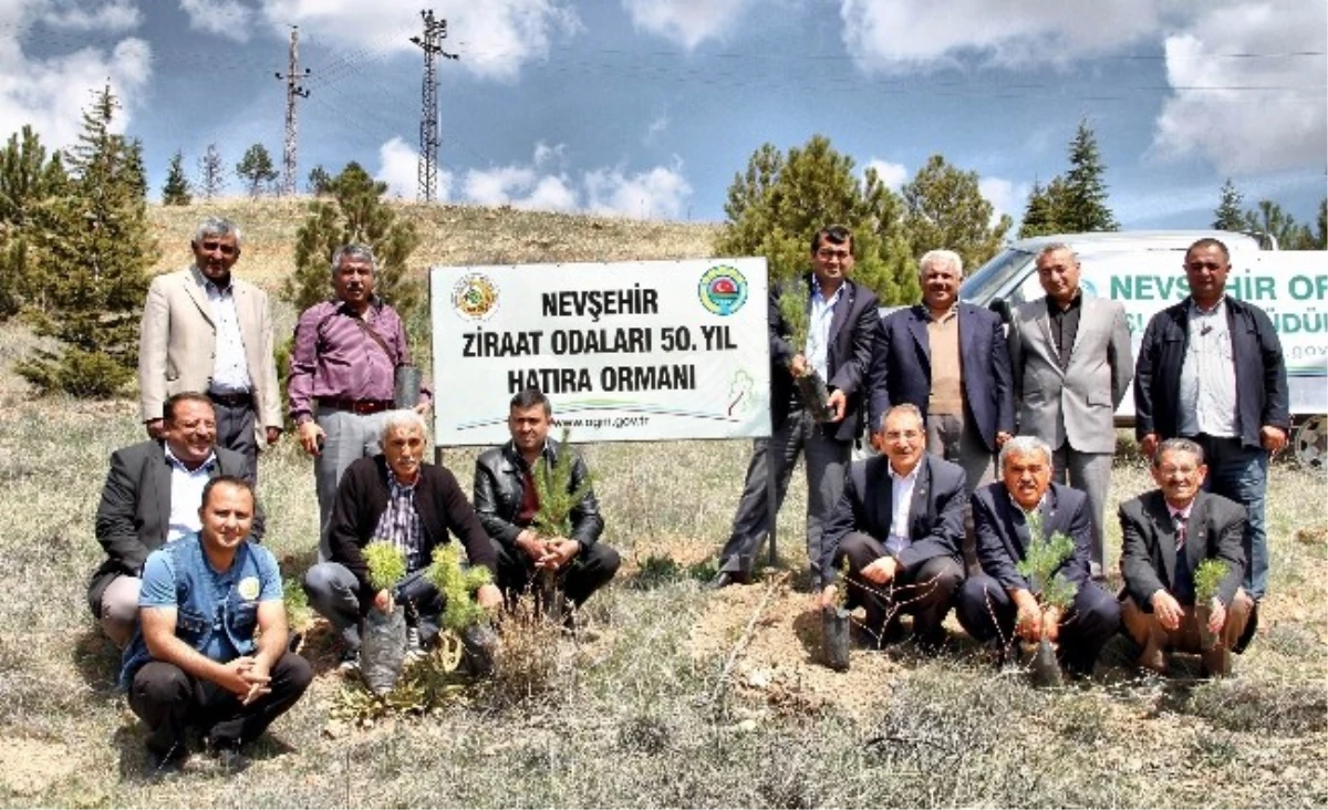 Nevşehir\'de Ziraat Odaları 50. Yıl Hatıra Ormanı Oluşturuldu