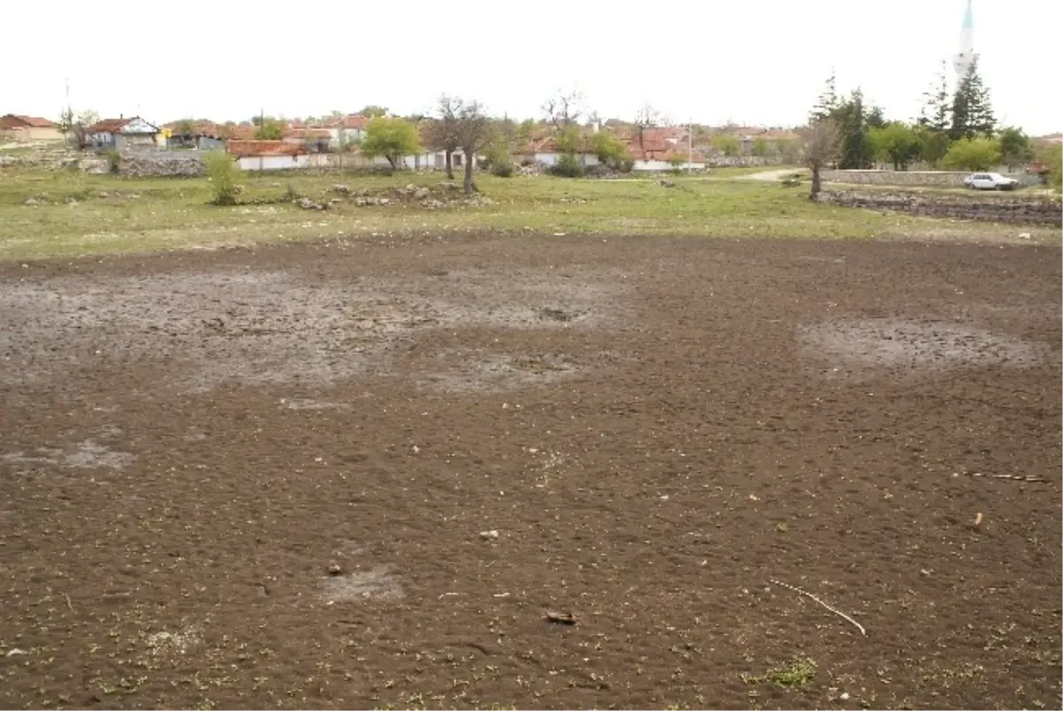 Sarıcailyas Mahallesindeki Gölet Kuraklığın Kurbanı Oldu