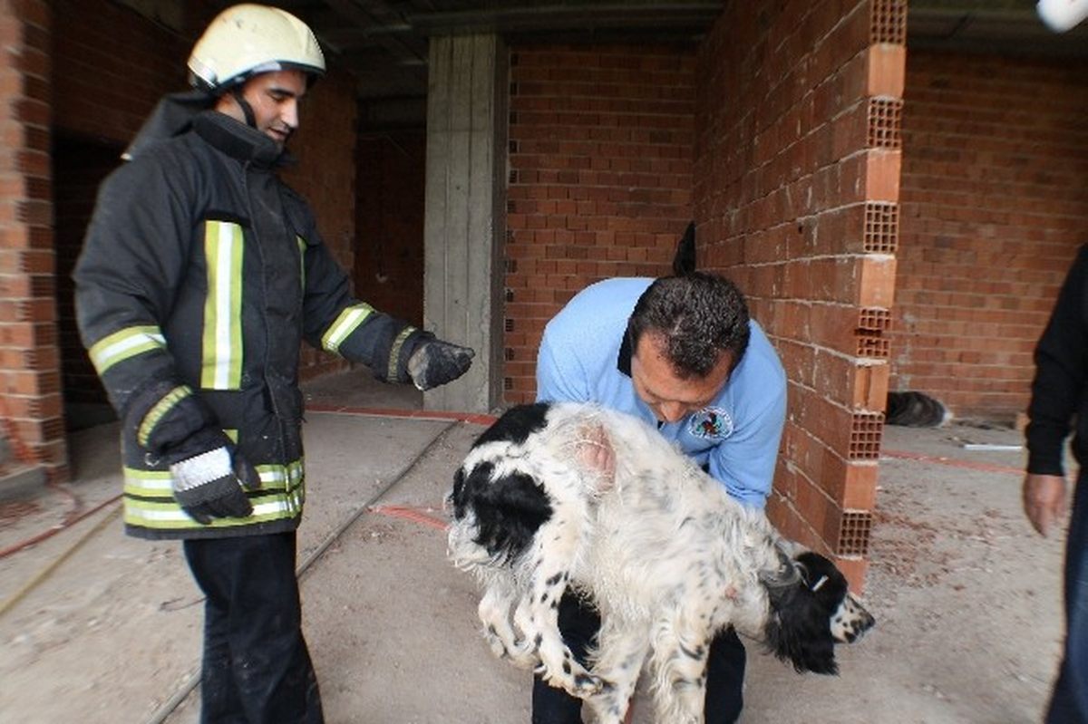 2 Gün Boyunca Mahsur Kalan Köpeği İtfaiye Kurtardı