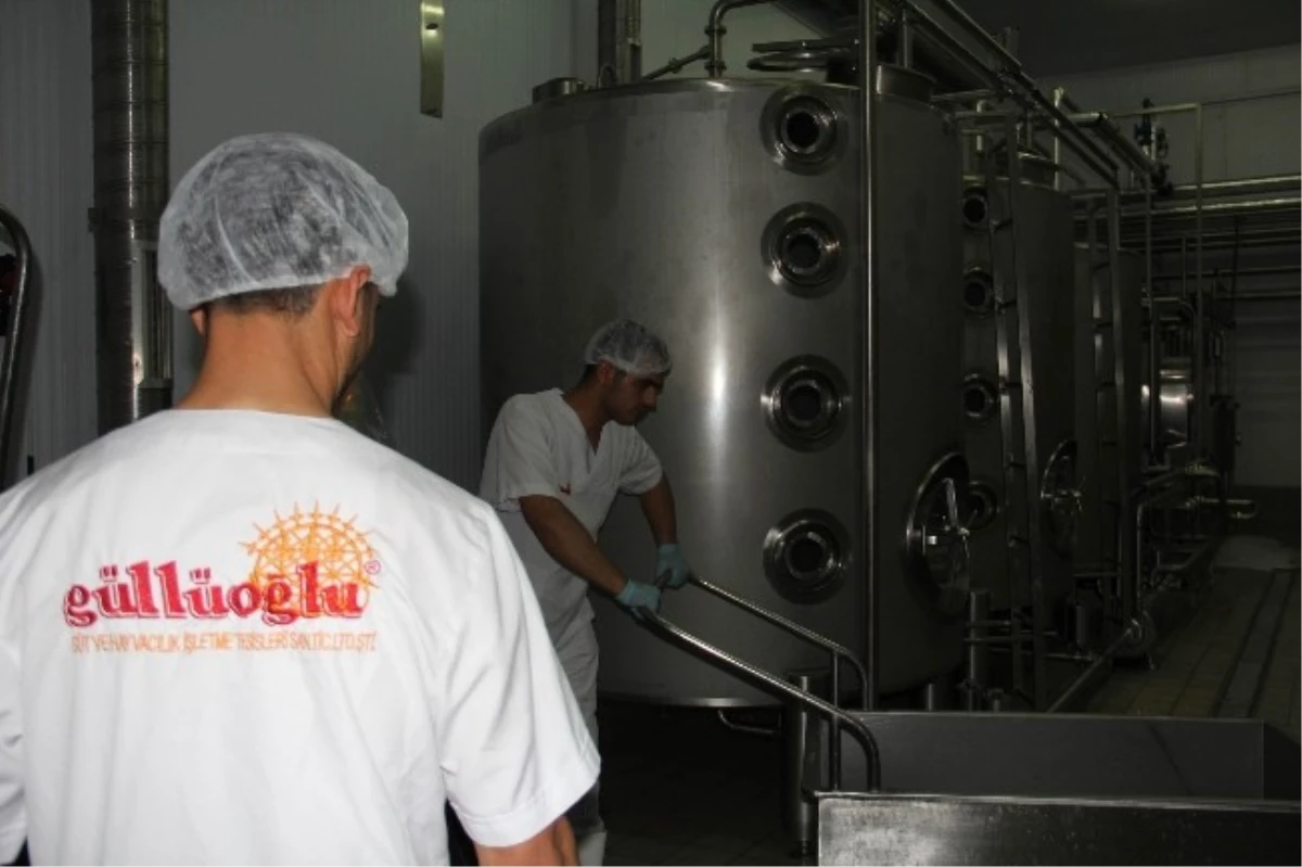 Güllüoğlu, Tecrübesini Süt Sektörüne Taşıyor