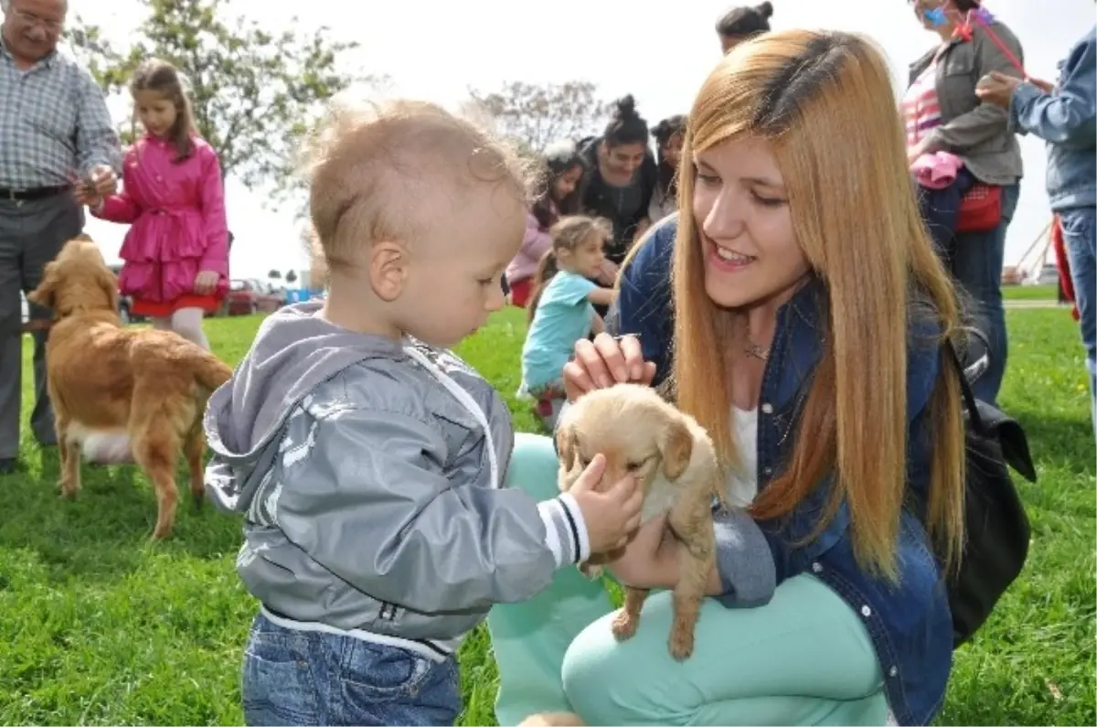 23 Nisan Kutlamaları Sırasında Yavru Köpekler İlgi Odağı Oldu