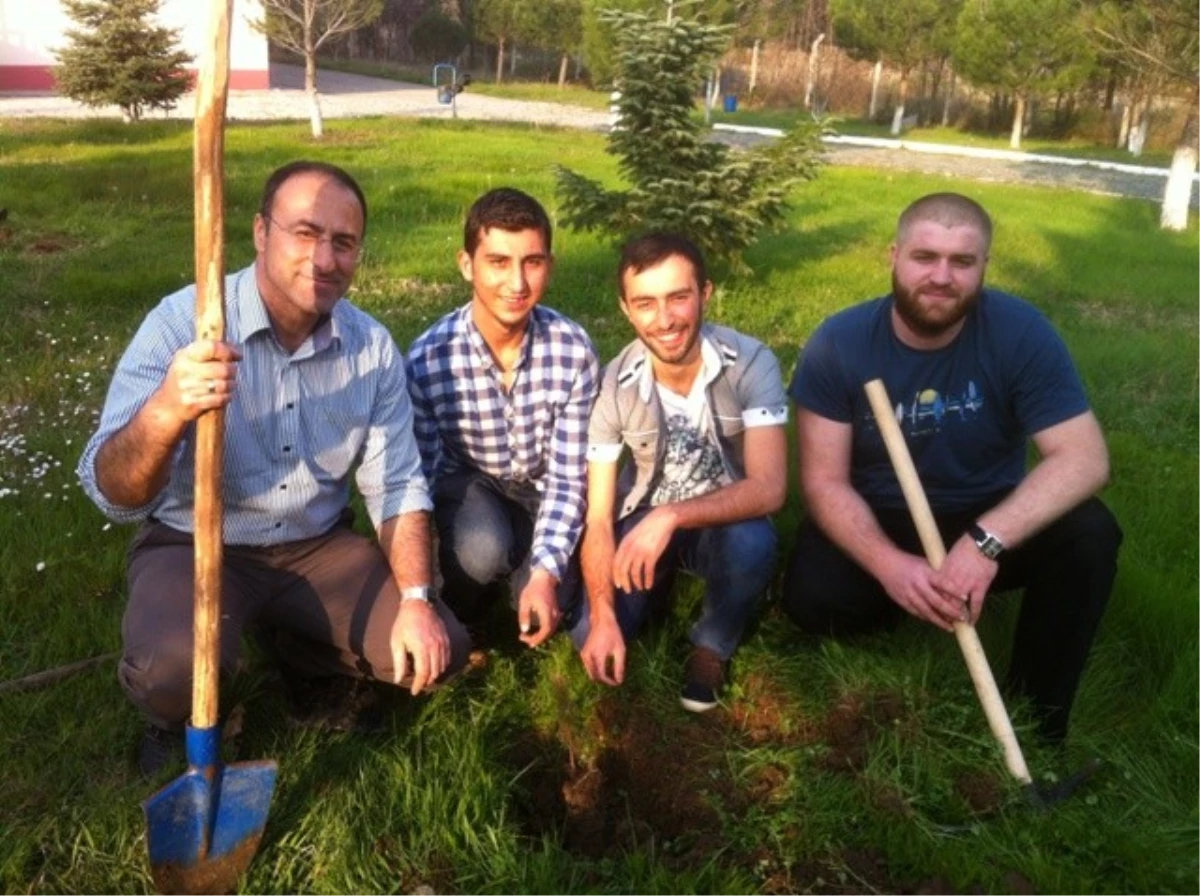 Yenice Meslek Yüksekokulunda Fidan Dikim Etkinliği