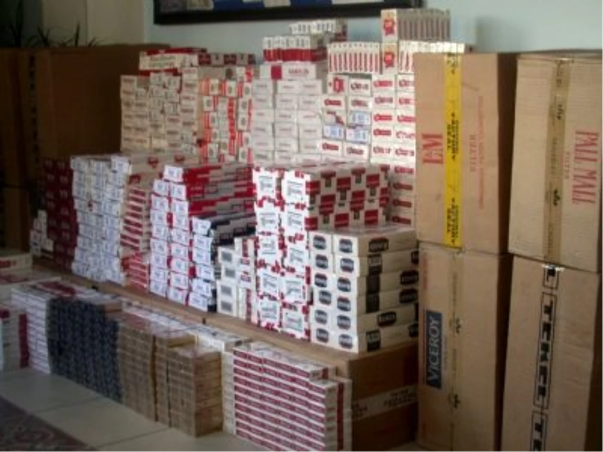 Sınırda 46 Bin 200 Paket Kaçak Sigara Yakalandı