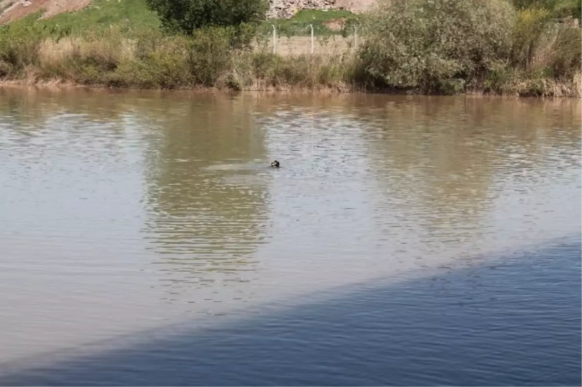 Balıkadamlar Dicle Nehri\'nde Suç Aleti Aradı