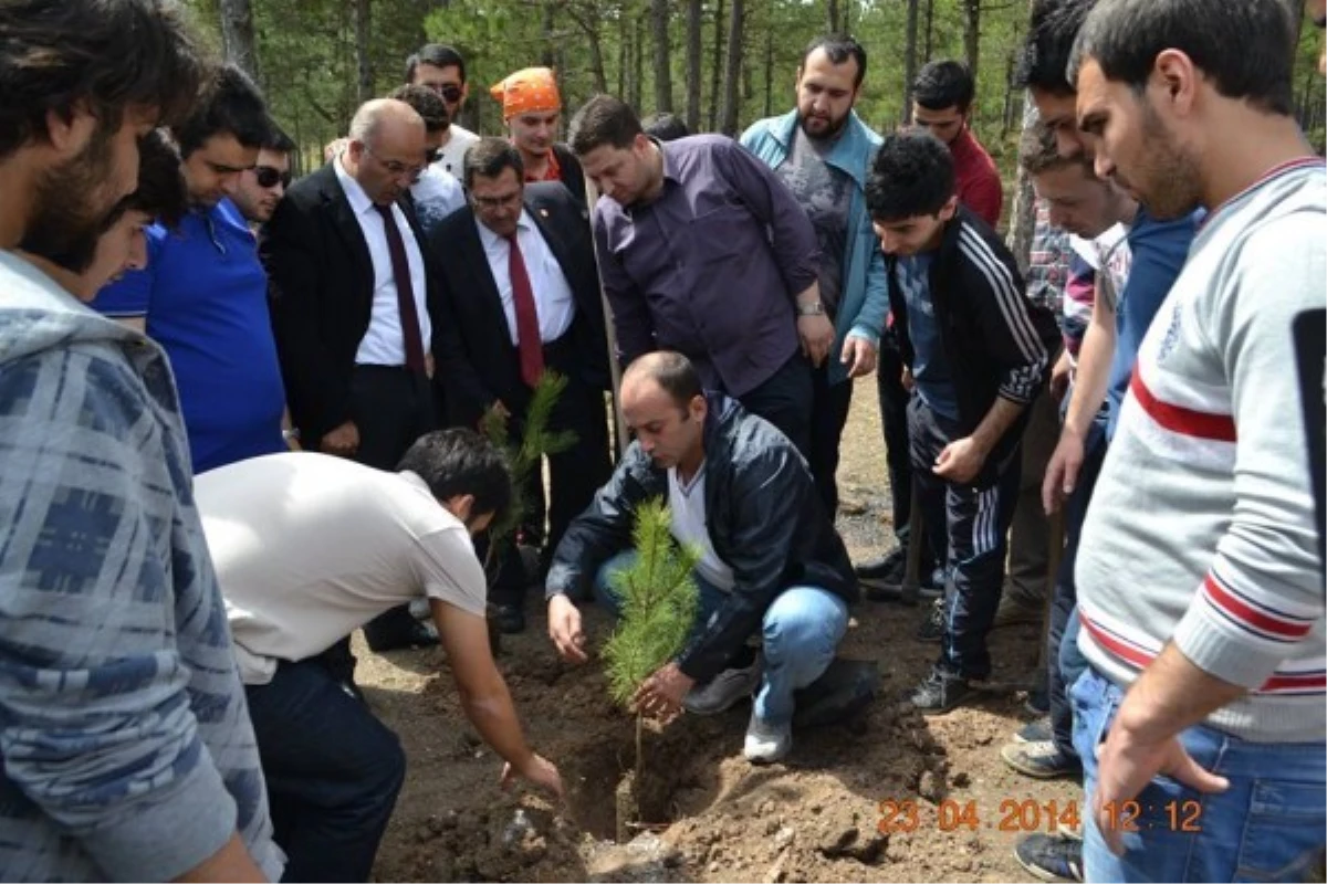 Bilecik\'te Fidan Dikimi Etkinliği Düzenlendi