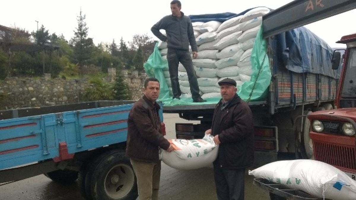 Düzce\'deki Çeltik Üreticilerine Tohum Desteği Yapıldı