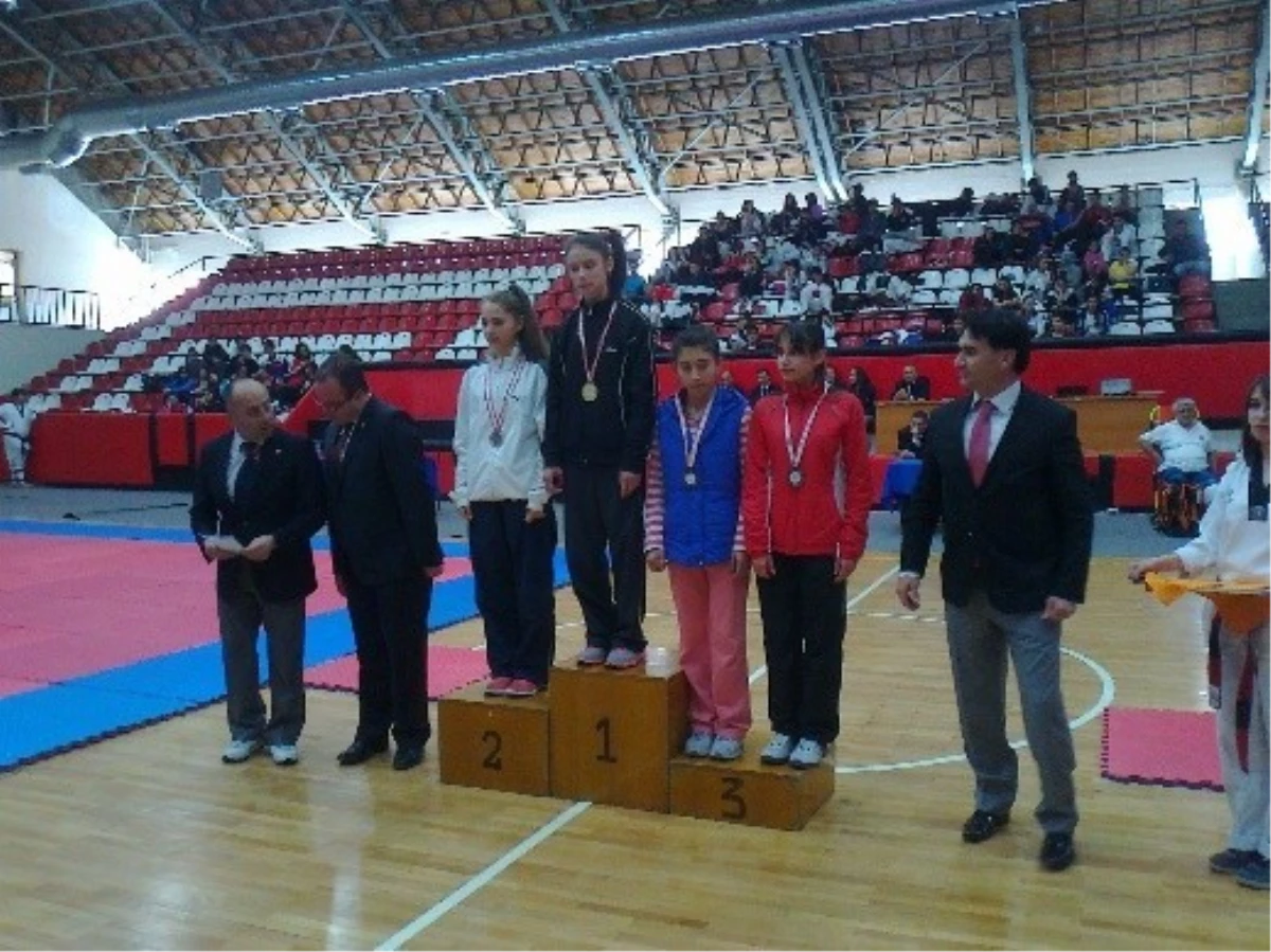Osmaneli\'de Öğrencilerin Taekwondo Başarısı