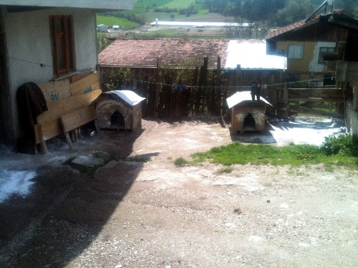 Köyü Kuduz Tehlikesiyle Karantinaya Aldılar