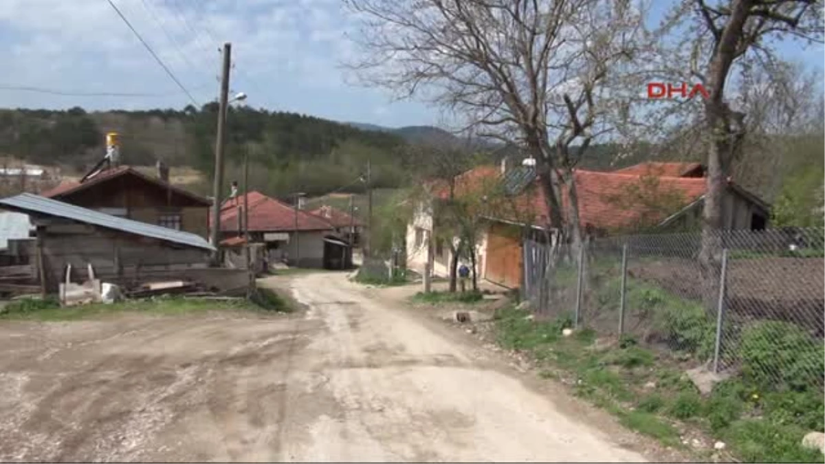 Kuduz Kurt Köyü Karantinaya Aldırdı