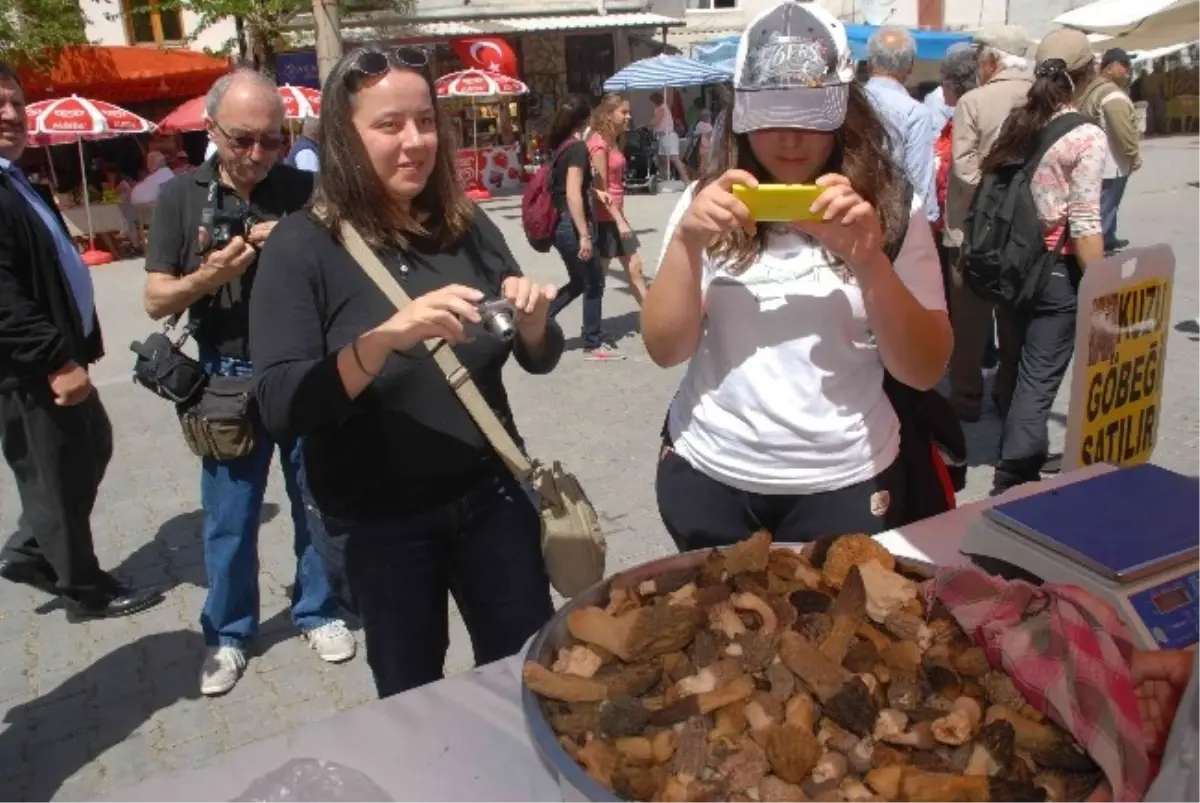 Kuzugöbeği Mantar Festivali Üzümlü\'ye Canlılık Getirdi