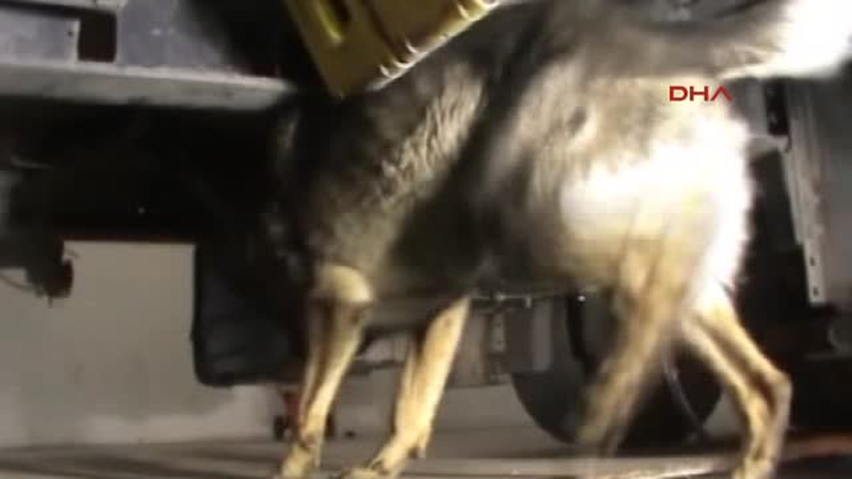 Tır Dorsesinin Hava Tüplerinden 61 Kilo Eroin Çıktı
