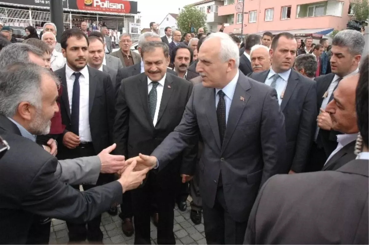 Orman ve Su İşleri Bakanı Eroğlu, Fidan Dikti