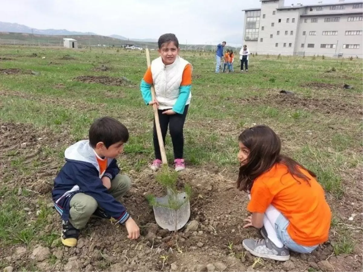 Ağrı\'da Matematiğin Dâhileri Fidan Dikti