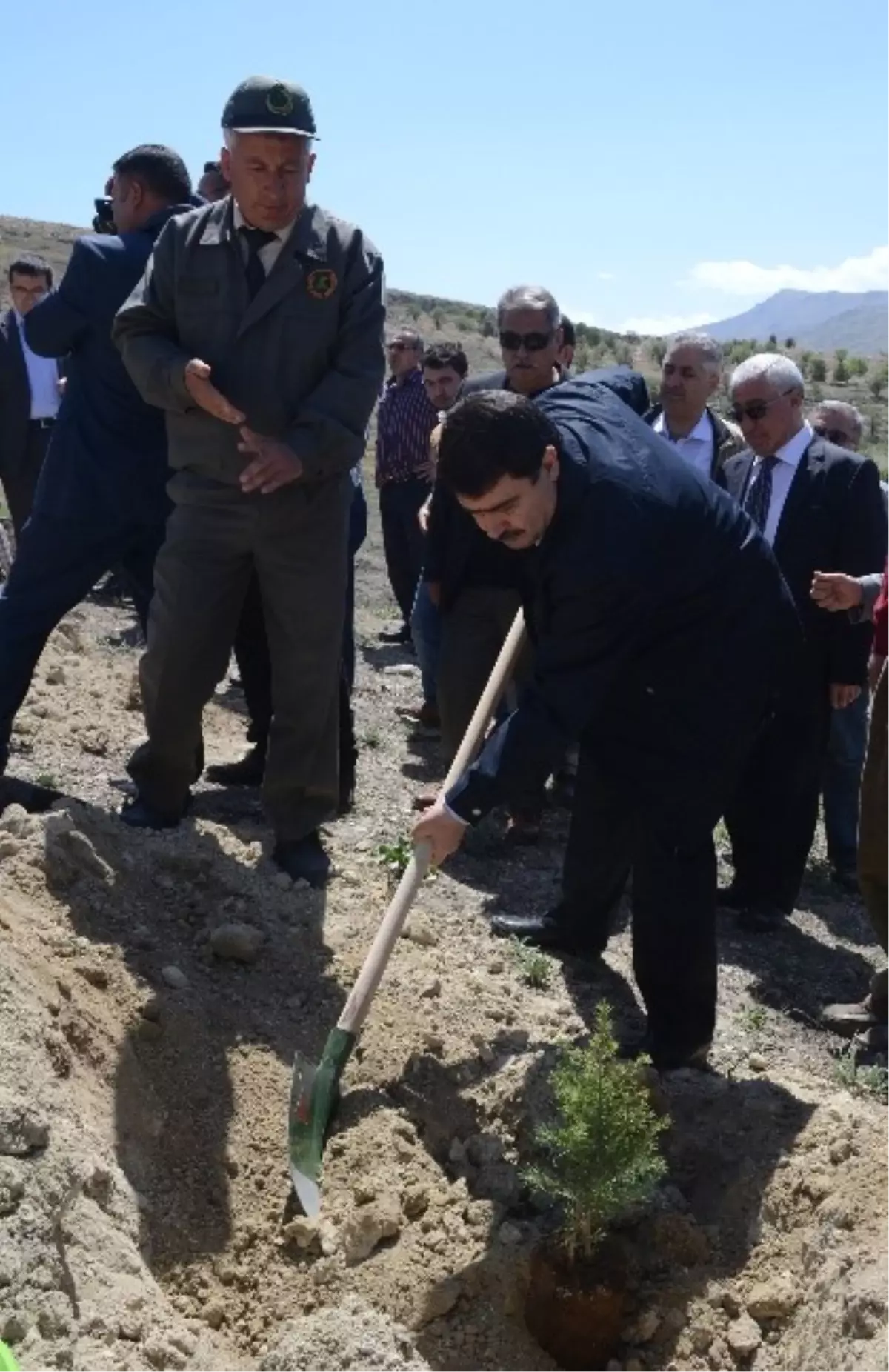 Birlik Vakfı Tarafından Fidan Dikim Töreni Yapıldı