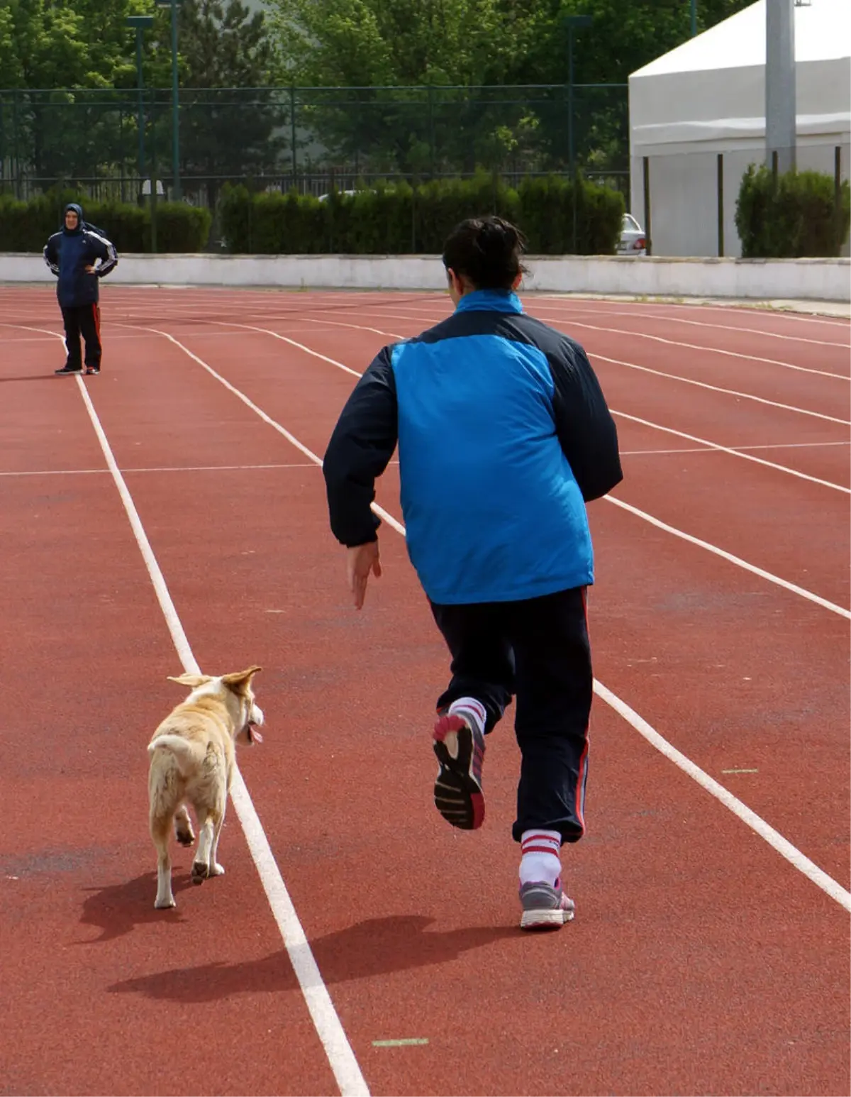 Sahaya Giren Köpek Güreşçi Kızların Maskotu Oldu