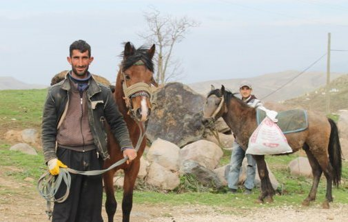 Dağlardan Topladıkları Otları Satarak Geçiniyorlar