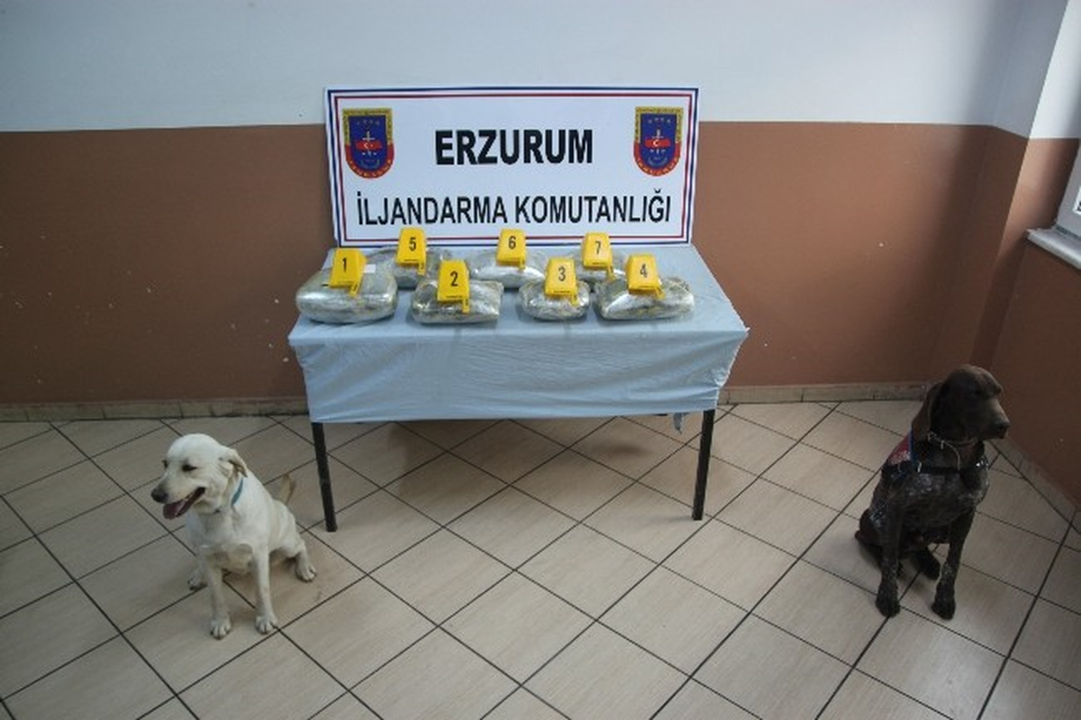 Erzurum\'da 17 Kilo 600 Gram Toz Esrar Ele Geçirildi