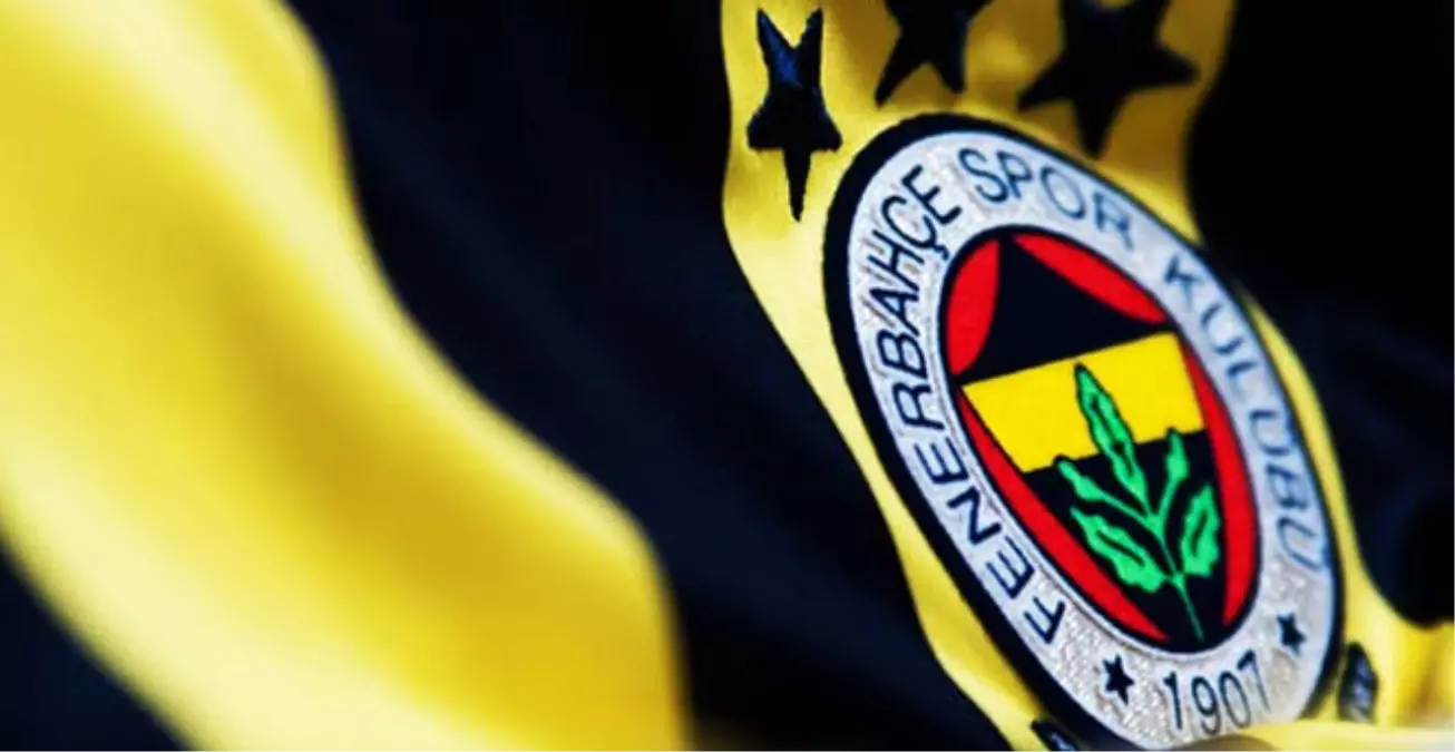 Fenerbahçe Taraftarı Sevindi, Yatırımcısı Üzüldü