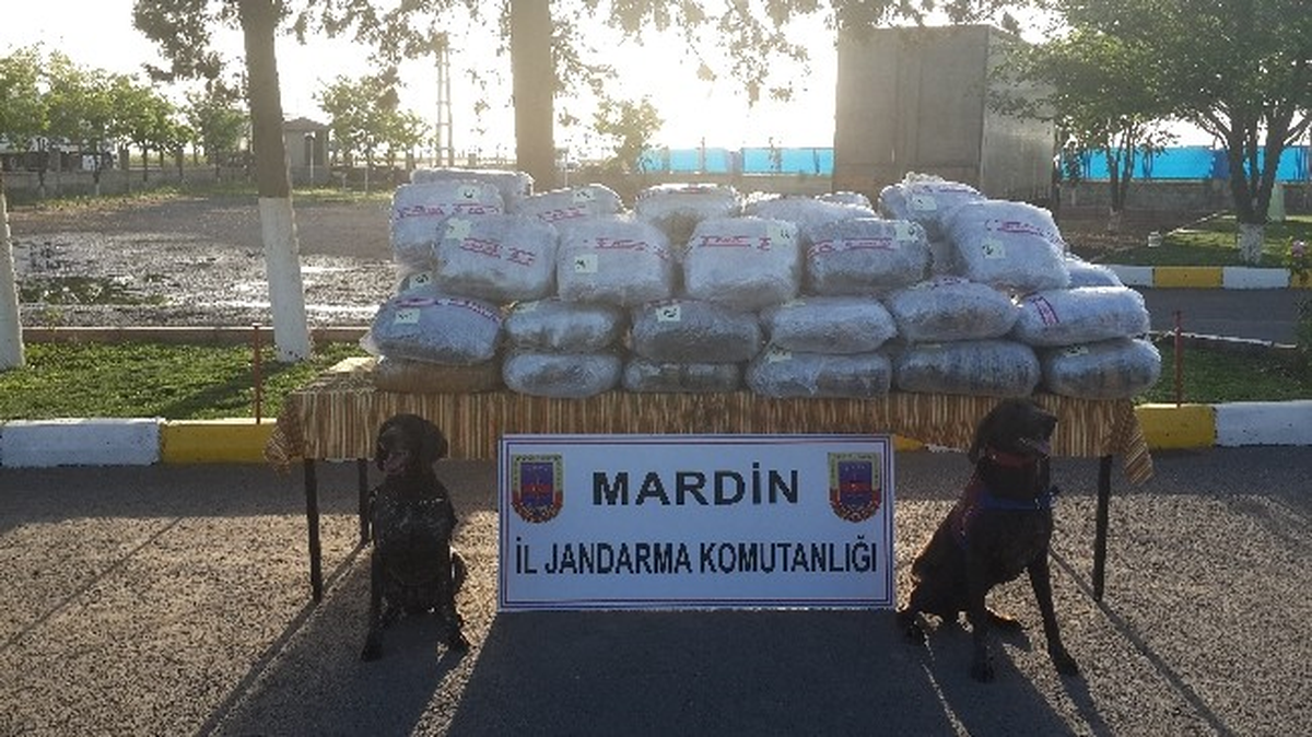 Nakliye Kamyonunda Esrar Ele Geçirildi
