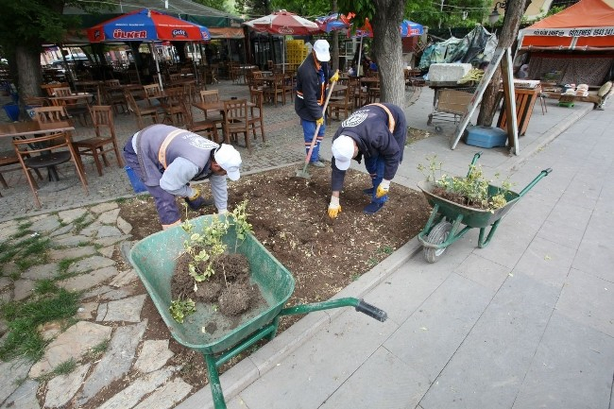 Odunpazarı Çiçekle Donatılıyor