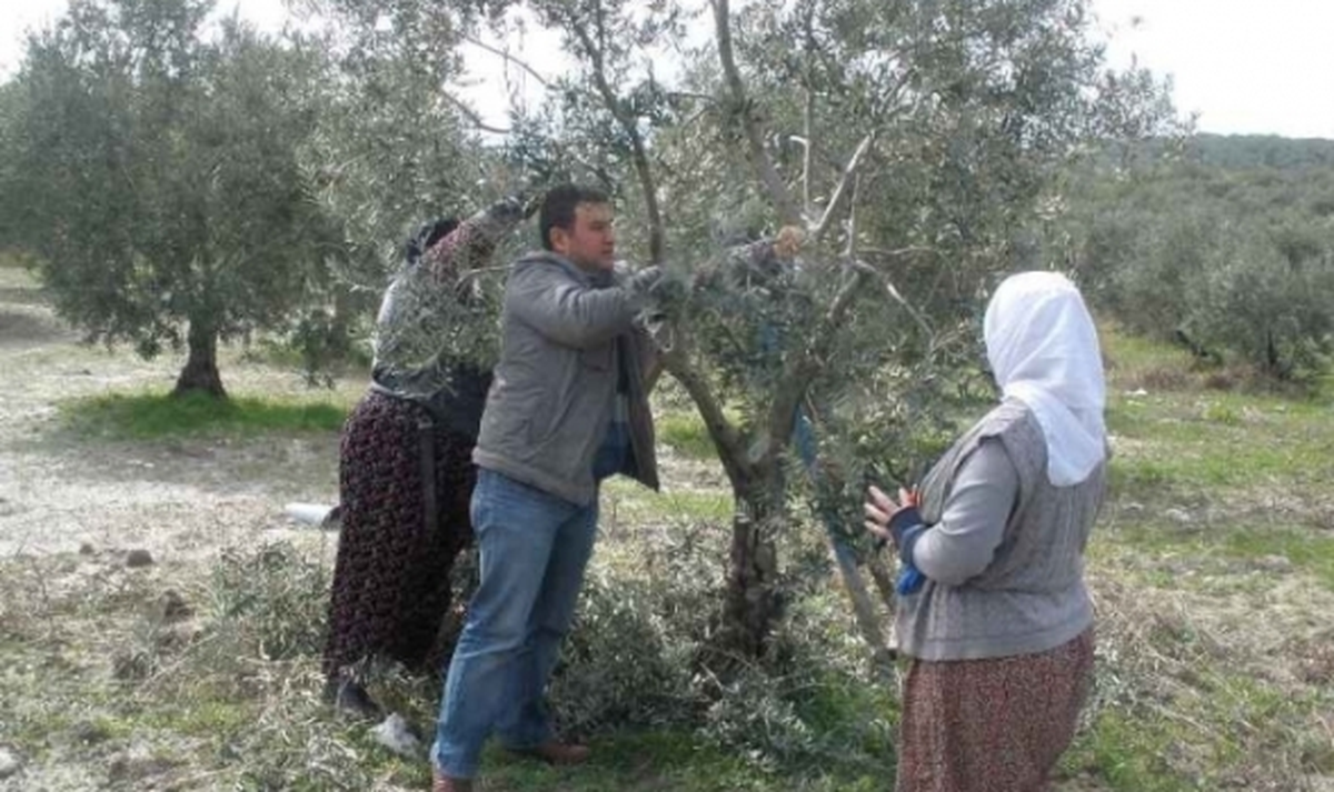 Pazaryeri\'nden Kısa Kısa