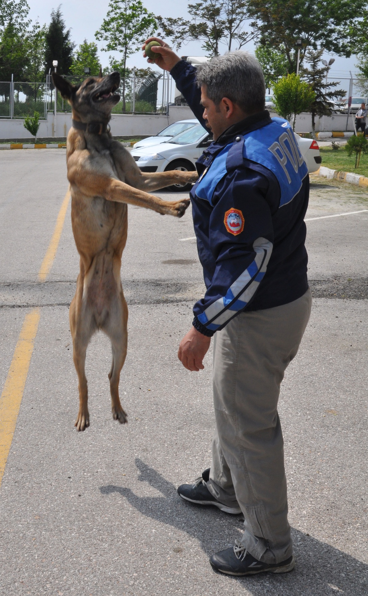 Narkotik Dedektör Köpekleri Sıla ve Juba Tam Not Aldı
