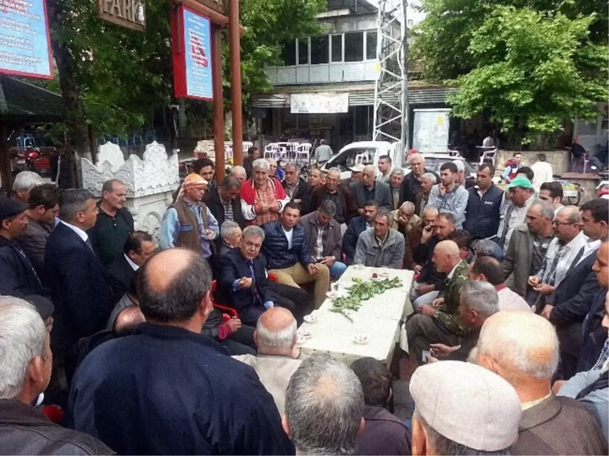 Başkan Kocaoğlu Kiraz Üreticisini Yalnız Bırakmadı