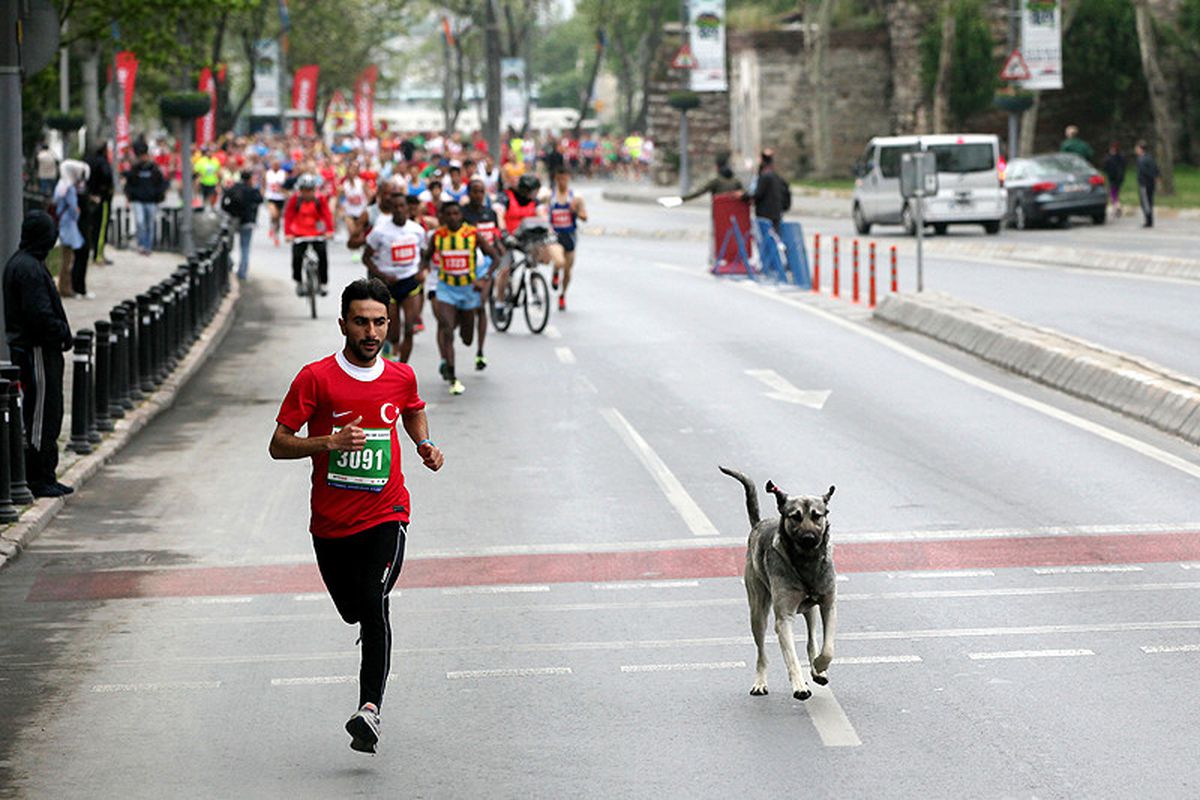 Belediye Başkanı Üçok\'tan Maraton Birincisi Aslan\'a Ödül