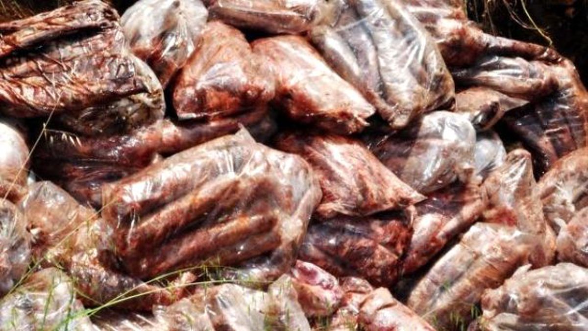 Hakkari\'de 2 Ton Kaçak Et Ele Geçirildi