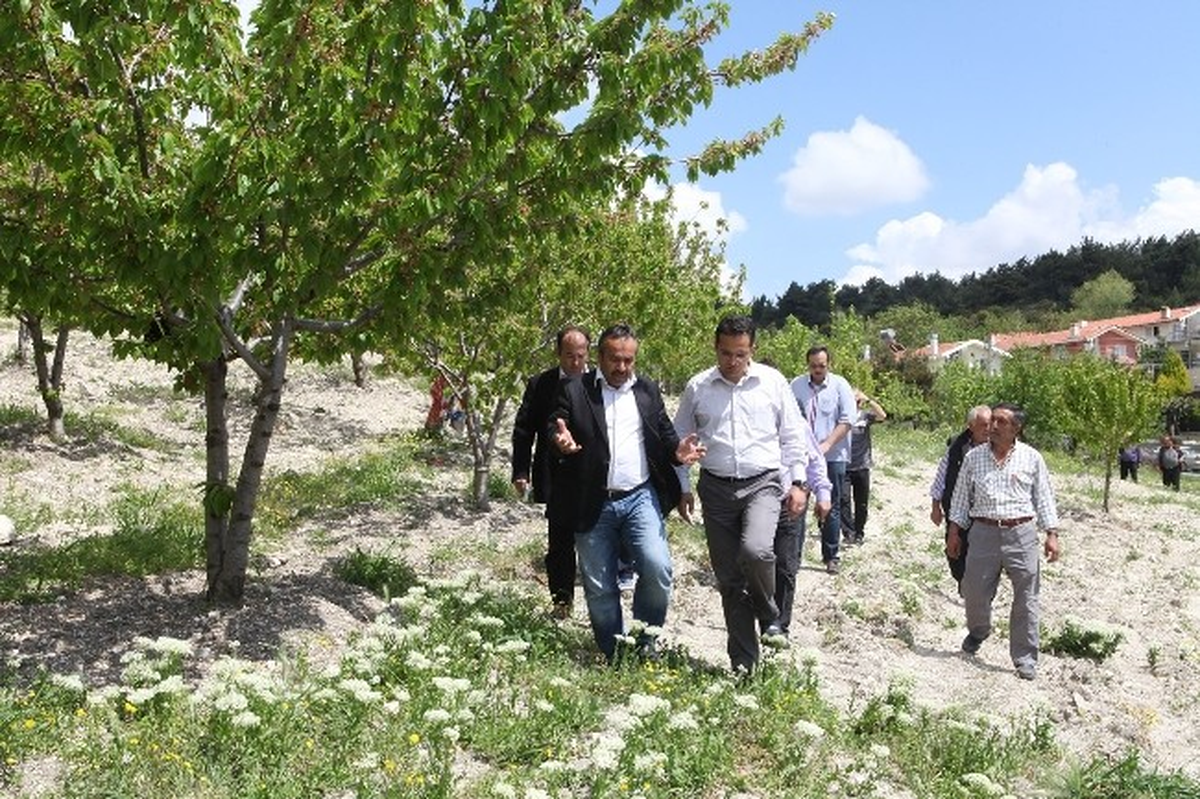 Bornova\'nın Yeni Mahallelerinde Turizm Hamlesi
