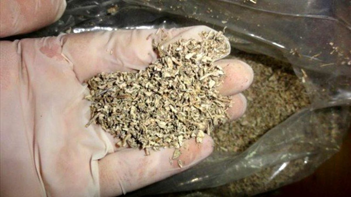 Evi Uyuşturucu İmalathanesine Çevirdiler