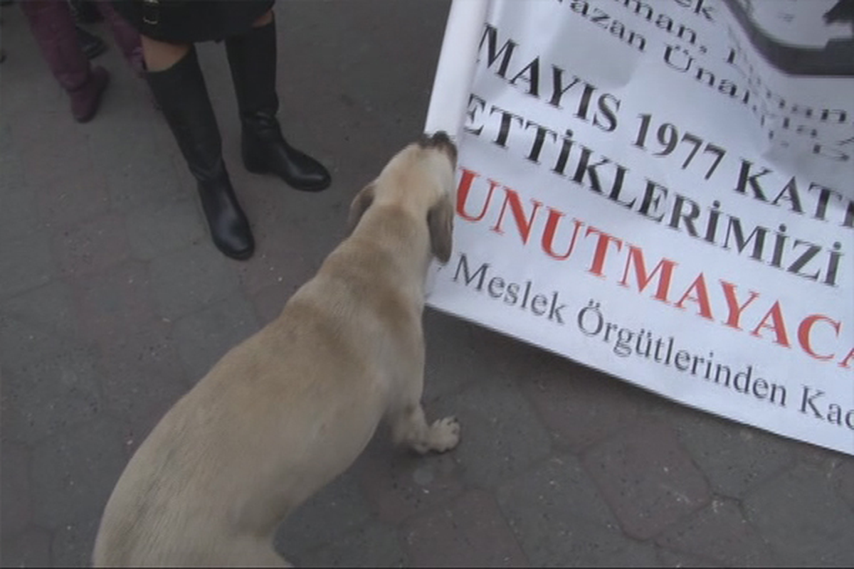 Kadın Eylemcilere Köpek Engeli