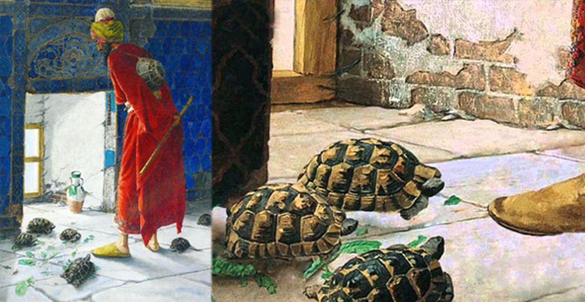 Kaplumbağa Terbiyecisi'nin Sırrı