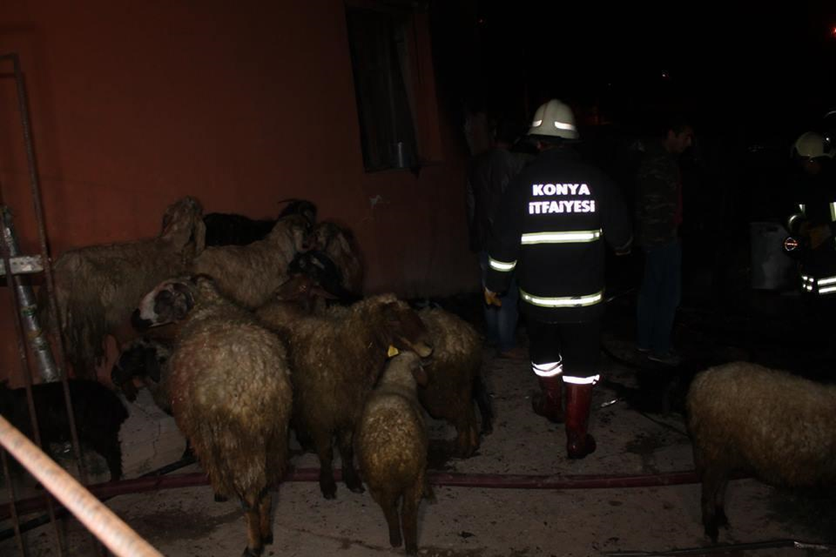 Konya\'da Ahır Yangını