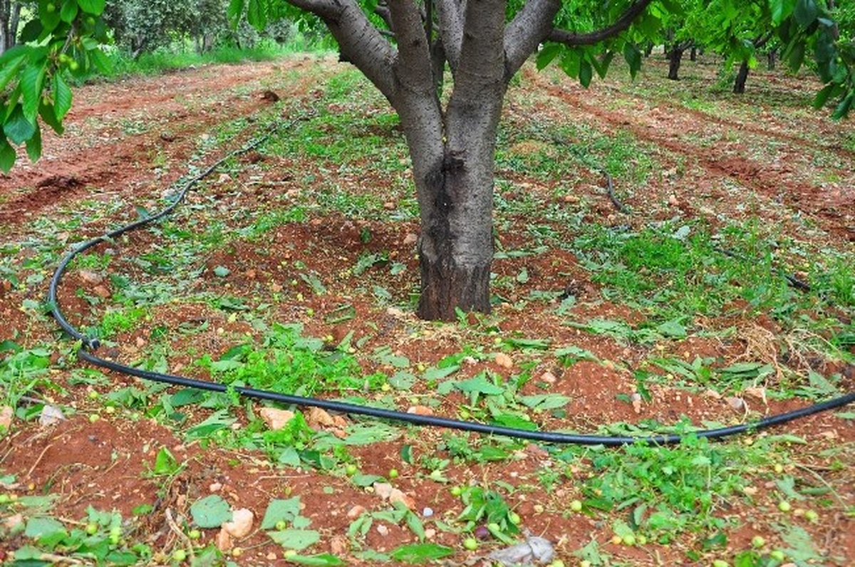 Manisa\'da Çiftçiler Doludan Etkilendi