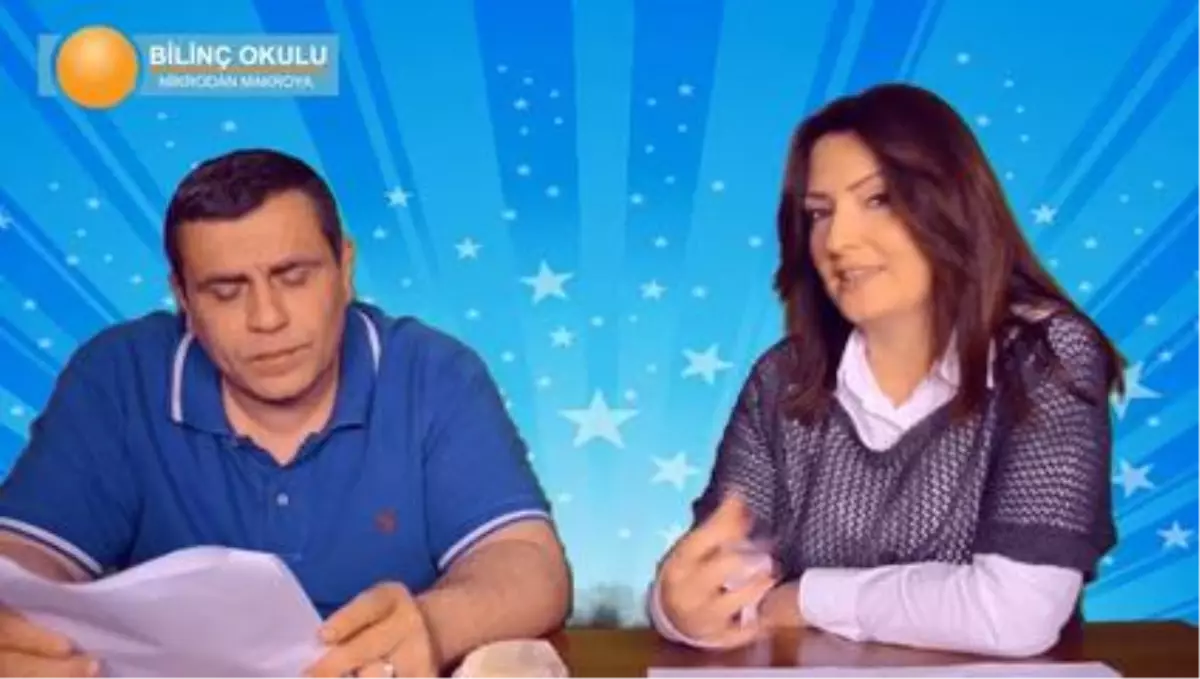 Aslan Burcu, Mayıs 2014 Yorumu