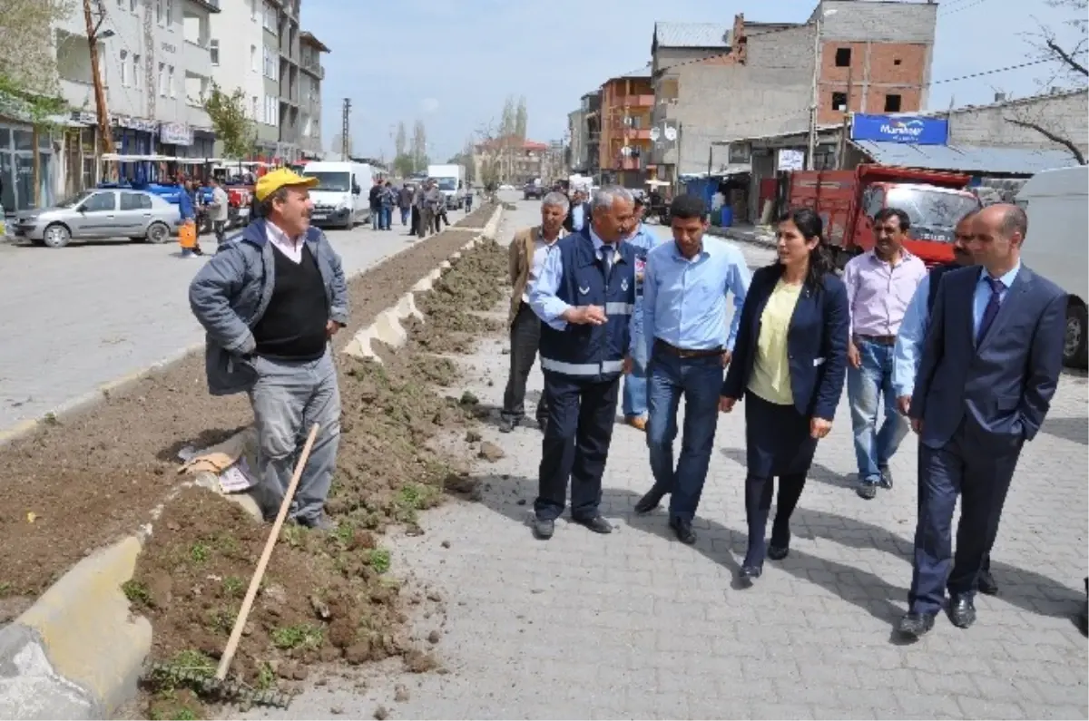 Bulanık Belediyesi Park ve Bahçelerde Çimlendirme Çalışması Başlattı