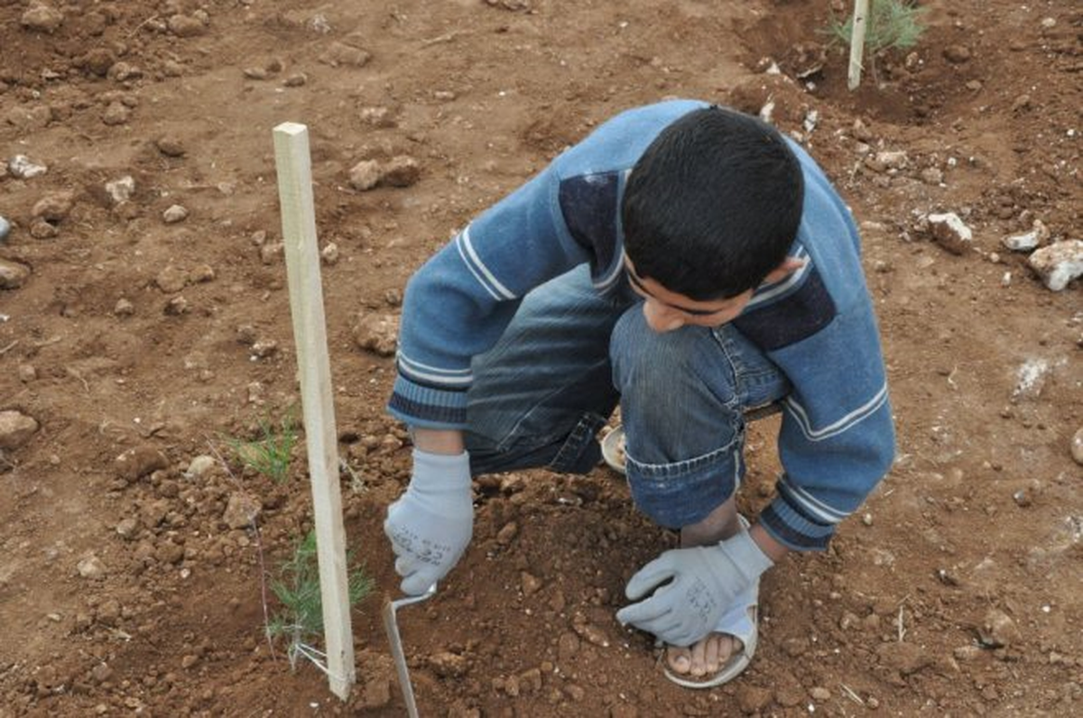 Suriyeli Sığınmacılar Fidan Dikti