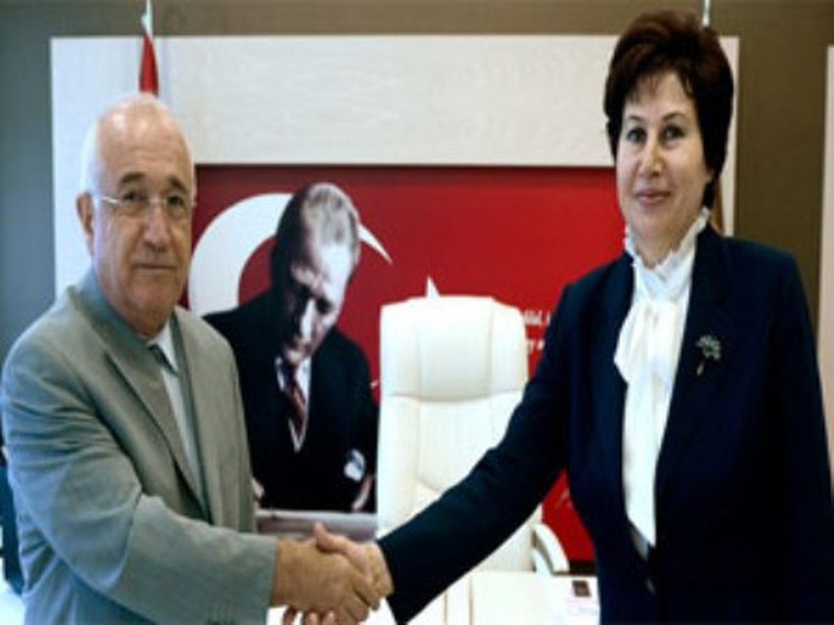TBMM Başkanı Çiçek, Danıştay Başkanı Güngör\'ü Kabul Etti