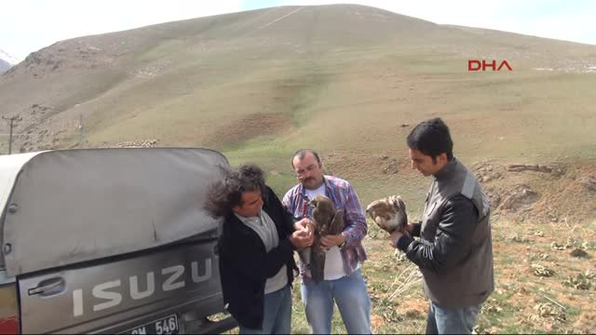Tedavileri Tamamlandı, Özgürlüğe Kanat Çırptılar