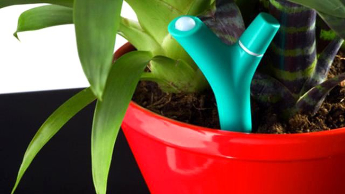 Teknolojik Annelere: Parrot Flower Power