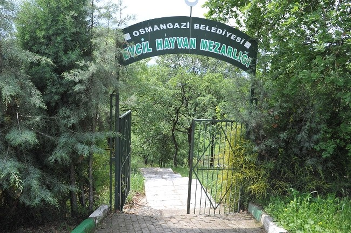 Türkiye\'nin İlk Evcil Hayvan Mezarlığı Büyütülüyor