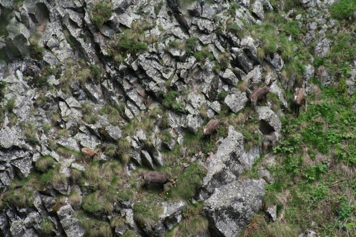 Yabancı Avcılar Rize\'ye 90 Bin TL Bıraktı