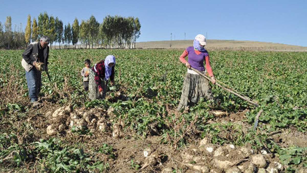 1 Mayıs Emek ve Dayanışma Günü