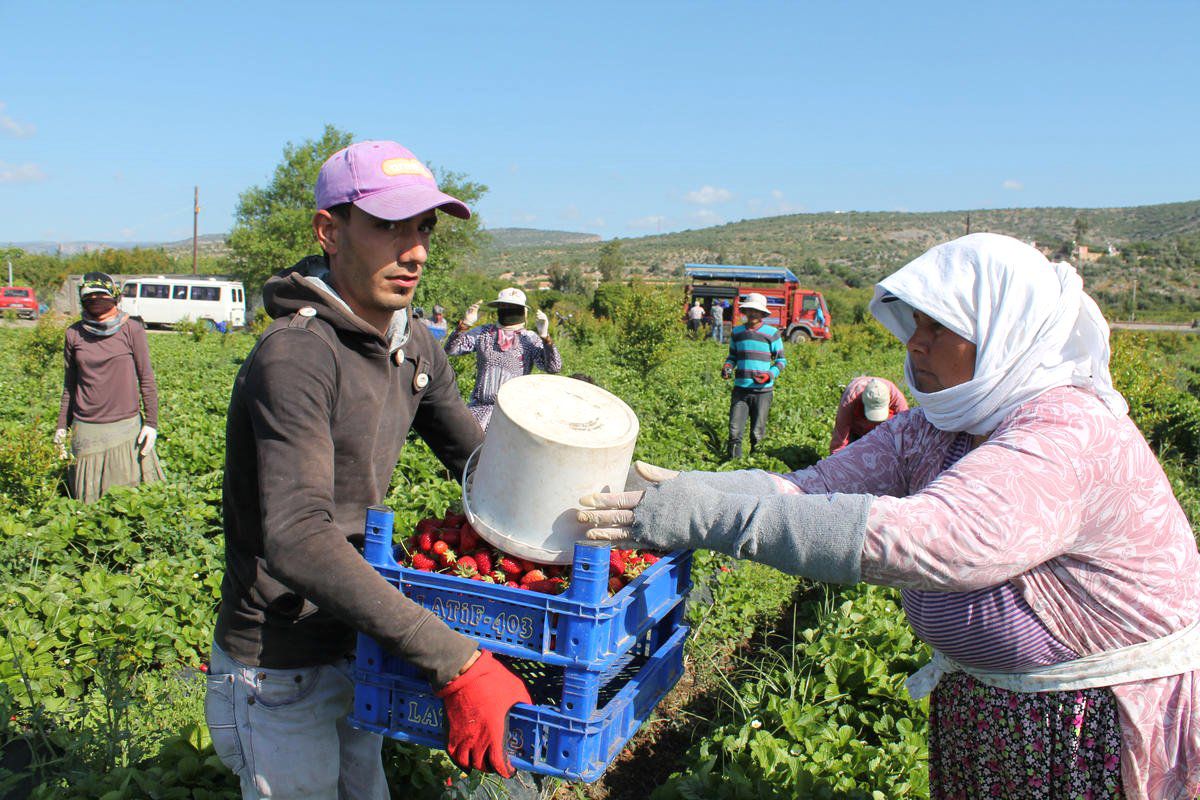 1 Mayıs Emek ve Dayanışma Günü