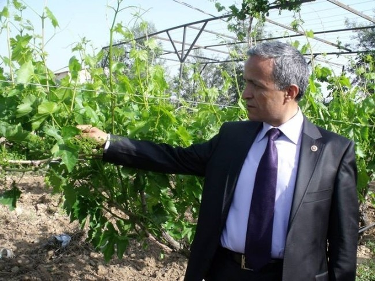 Arazi Bölünmesinin Önlenmesine İlişkin Kanun Tasarısı Birçok Yenilik ve Kolaylık Getiriyor