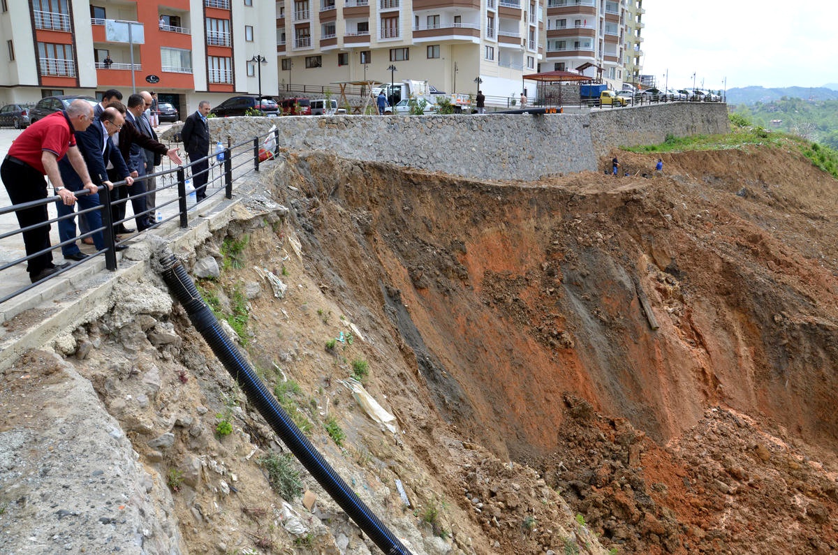 Barınakları Heyelan Riski Taşıyan Köpeklere Belediye Sahip Çıktı