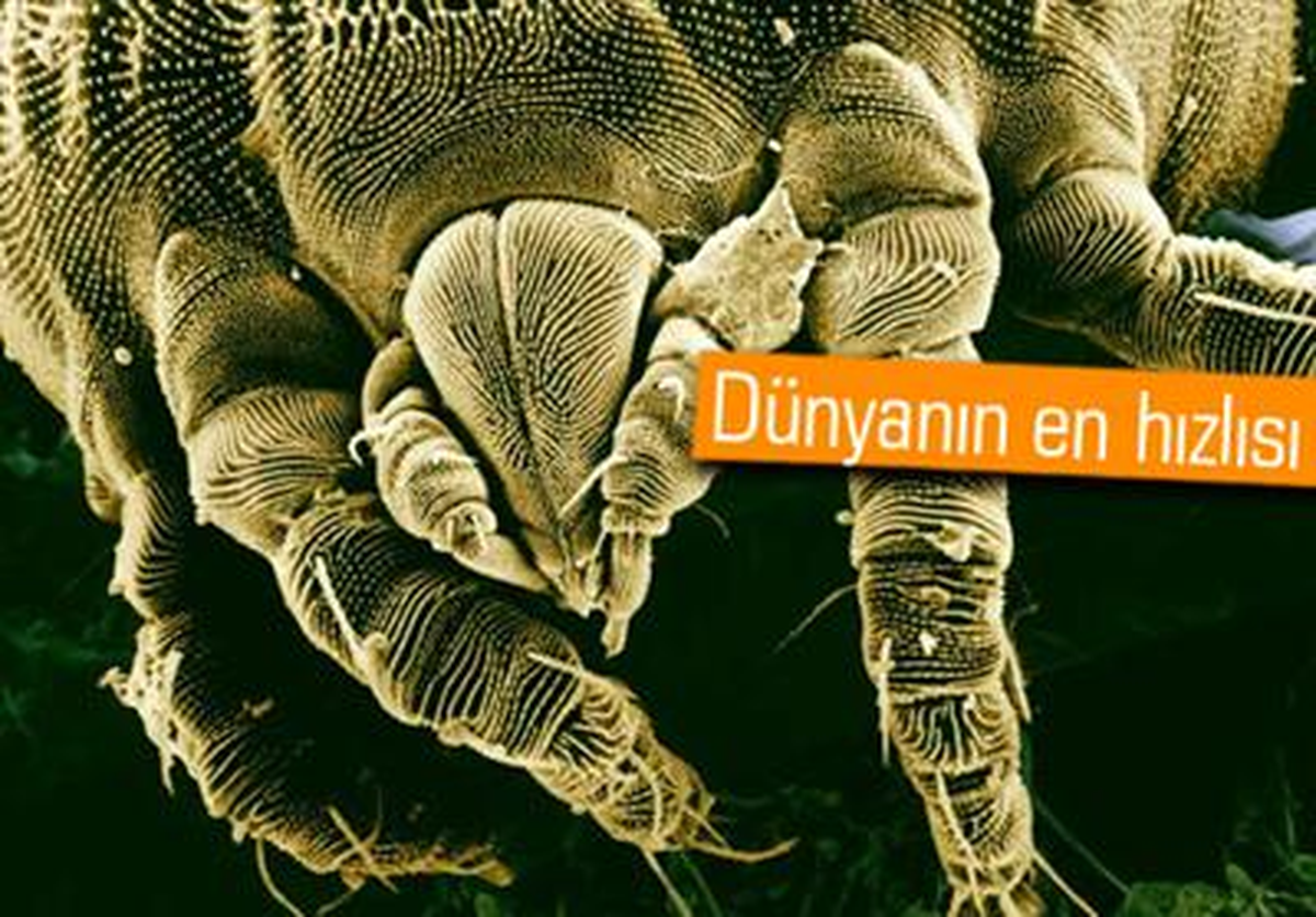 Bedeninin 332 Katı Mesafeyi 1 Saniyede Kat Ediyor!