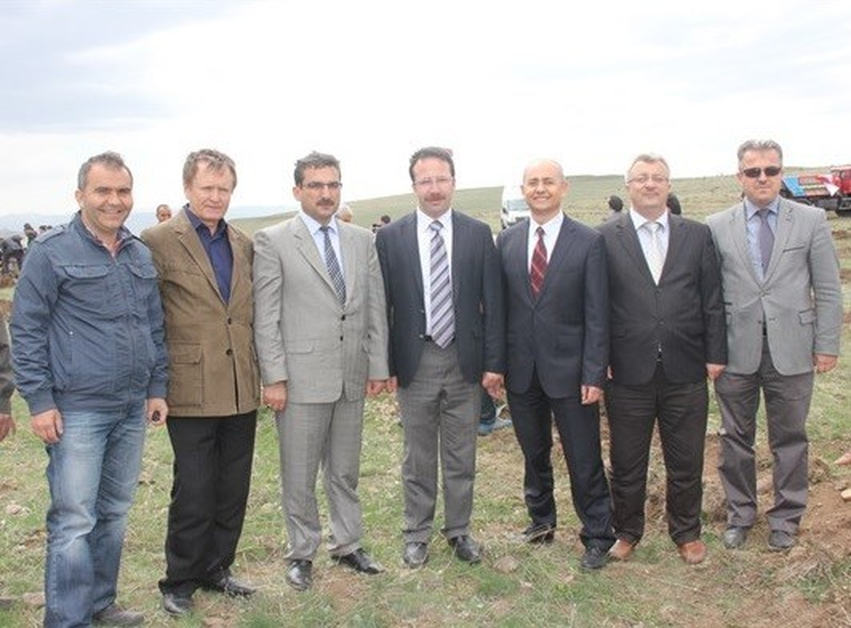 Erzurum Tabyaları Ağaçlandırılıyor